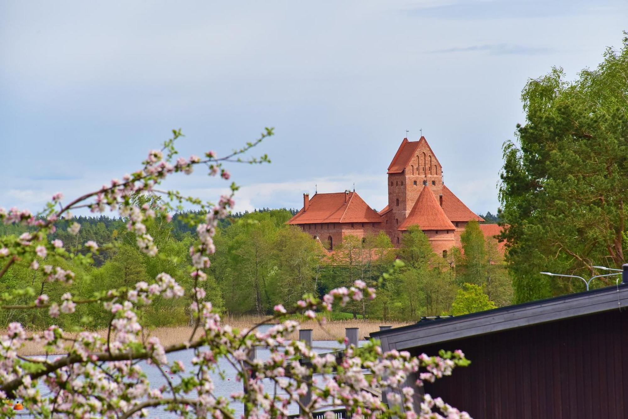 Augutes Zurlienes Apartamentai Trakai Exteriér fotografie